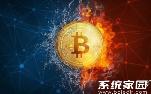 派币项目风险评估报告