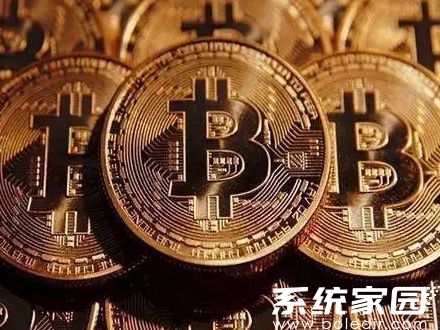 ton币钱包安卓版下载