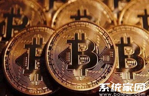 数字资产管理界面