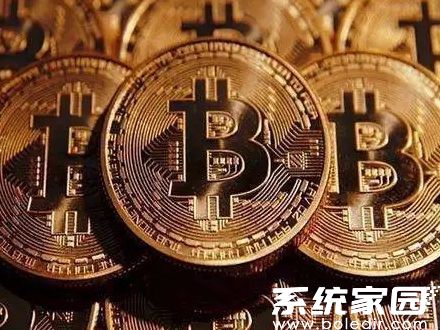 比特币暴跌超10%至三周低点 现货etf没戏了吗
