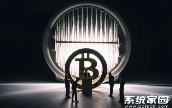 2024年数字货币市场格局分析