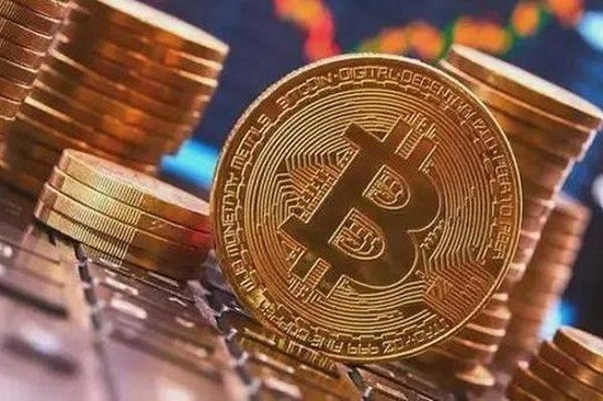主流数字资产管理工具全景解析