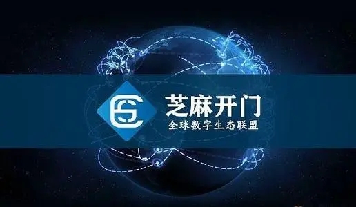 芝麻交易所资质与运营解析