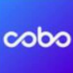 Cobo钱包数字资产管理解决方案