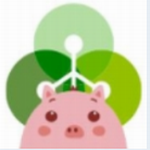 cgpay钱包手机版专业虚拟货币交易平台