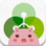 cgpay钱包安全便捷的数字资产管理平台