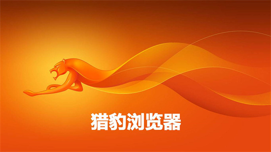 猎豹浏览器安全性能与核心优势解析