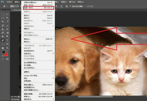 PS后退一步操作界面