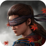 影子猎人的中世纪冒险之旅v1.0.61 汉化版