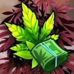 植物种植大亨中文版经营乐趣多v2.14.0 无限钻石版