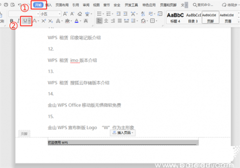 WPS页脚格式修改操作示例