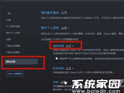 Steam隐私设置界面示意图