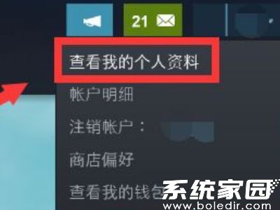 Steam个人资料入口示意图