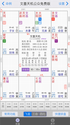 紫微斗数命盘示例