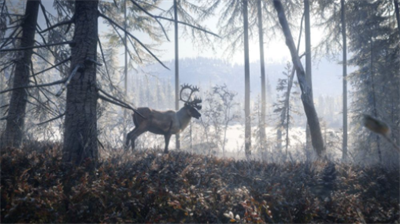 猎人荒野游戏场景