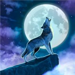 暮光之城寻物历险沉浸式探索v3.2.45 无限提示版