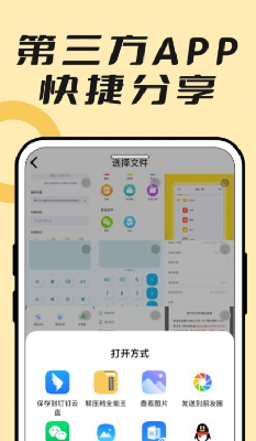 格式支持展示