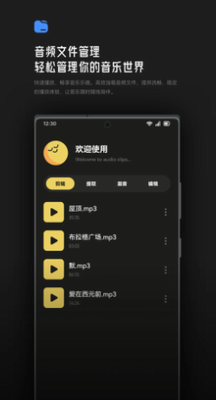 TuneProu5b89u5353u624bu673au7248