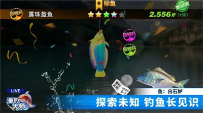 u5782u9493u5927u5e08u514du8d39u7248