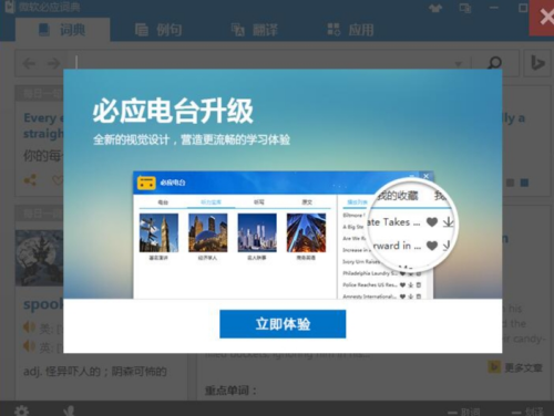 必应词典界面示意图