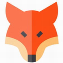 Foxtable数据管理软件高效办公方案v19.06.13 免费版