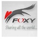 Foxy中文版P2P下载工具详解