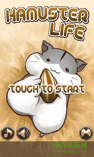 u5c0fu4ed3u9f20u7684u751fu6d3b(HamsterLife)